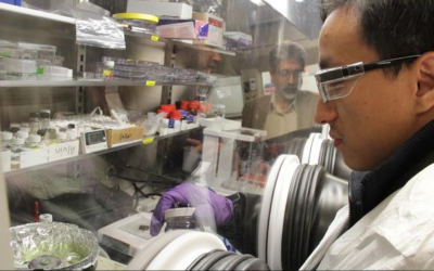 Brown professor investigating possible breakthrough in solar energy